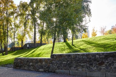 Avrupa, Kyiv 'de ağaçlar ve çimlerle çevrili bir yürüyüş yolu. Sonbahar şehir parkında dinlenme yeri