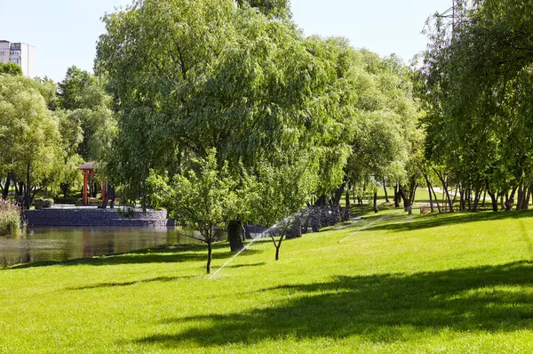 Çimlerin sulanması ve bakımı ve şehir parkında bahçe bakımı için otomatik ekipman. Bahçe sulama sistemi çimenleri suluyor