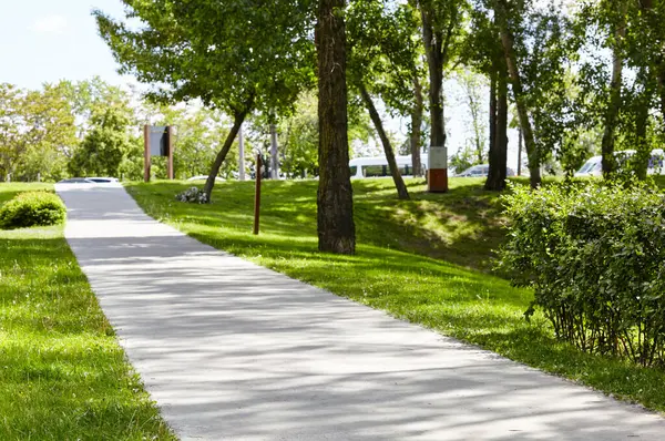 Yol, Avrupa, Kyiv 'de ağaçlar ve süslü çalılarla çevrili. Şehir parkında dinlenme yeri
