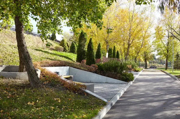 Avrupa, Kyiv 'de ağaçlar ve çimlerle çevrili bir yürüyüş yolu. Sonbahar şehir parkında dinlenme yeri