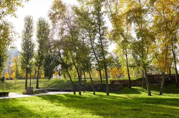 Avrupa, Kyiv 'de ağaçlar ve çimlerle çevrili bir yürüyüş yolu. Sonbahar şehir parkında dinlenme yeri