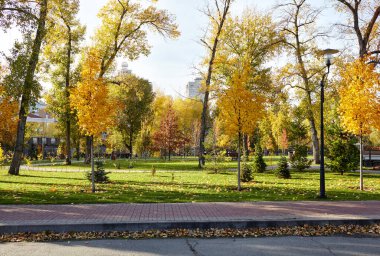 Avrupa, Kyiv 'de ağaçlar ve çimlerle çevrili bir yürüyüş yolu. Sonbahar şehir parkında dinlenme yeri