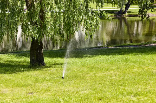 Çimlerin sulanması ve bakımı ve şehir parkında bahçe bakımı için otomatik ekipman. Bahçe sulama sistemi çimenleri suluyor