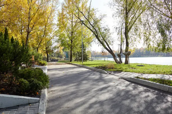 Avrupa, Kyiv 'de ağaçlar ve çimlerle çevrili bir yürüyüş yolu. Sonbahar şehir parkında dinlenme yeri