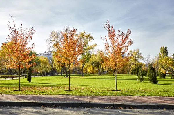 Avrupa, Kyiv 'de ağaçlar ve çimlerle çevrili bir yürüyüş yolu. Sonbahar şehir parkında dinlenme yeri