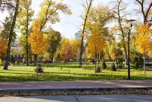 Avrupa, Kyiv 'de ağaçlar ve çimlerle çevrili bir yürüyüş yolu. Sonbahar şehir parkında dinlenme yeri