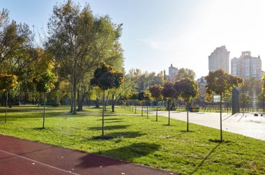 Avrupa, Kyiv 'de ağaçlar ve çimlerle çevrili bir yürüyüş yolu. Sonbahar şehir parkında dinlenme yeri