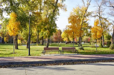 Avrupa 'nın başkenti Kyiv' de ağaçlarla çevrili dinlenme yerleri. Sonbaharda şehir parkında dinlenmek için bir yer