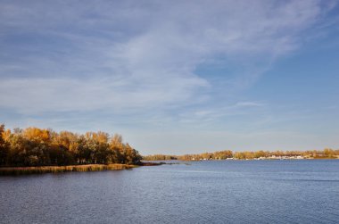 Güzel sonbahar doğa manzarası. Avrupa 'nın başkenti Kyiv' de nehir kenarındaki sık ağaçlarla mavi gökyüzü manzarası