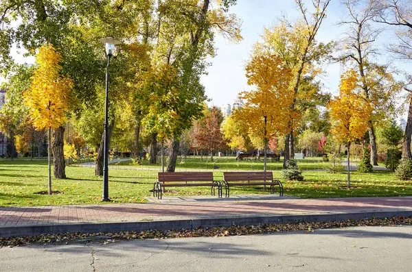 Avrupa 'nın başkenti Kyiv' de ağaçlarla çevrili dinlenme yerleri. Sonbaharda şehir parkında dinlenmek için bir yer