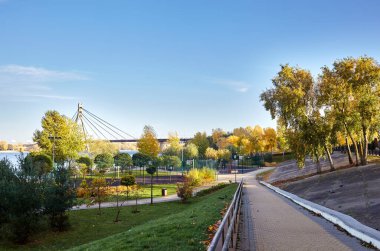 Avrupa, Kyiv 'de ağaçlar ve çimlerle çevrili bir yürüyüş yolu. Sonbahar şehir parkında dinlenme yeri