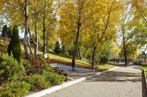 Avrupa, Kyiv 'de ağaçlar ve çimlerle çevrili bir yürüyüş yolu. Sonbahar şehir parkında dinlenme yeri