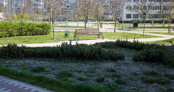 Avrupa 'nın başkenti Kyiv' de ağaçlar ve süslü çalılarla çevrili bir dinlenme alanı. Baharda şehir parkında dinlenmek için bir yer.