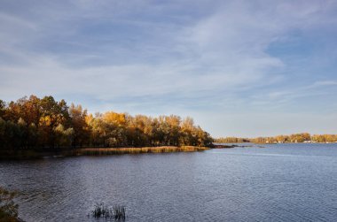 Güzel sonbahar doğa manzarası. Avrupa 'nın başkenti Kyiv' de nehir kenarındaki sık ağaçlarla mavi gökyüzü manzarası