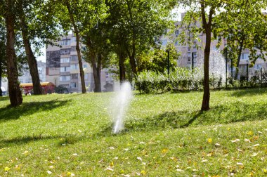 Çimlerin sulanması ve bakımı, sonbahar parkında bahçe bakımı için otomatik ekipman. Bahçe sulama sistemi çimenleri suluyor