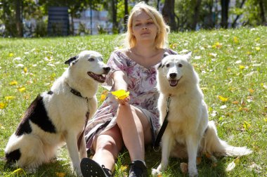 Sahibi sonbahar parkında Sibiryalı bir laika köpeğiyle oynuyor. Bir köpekle bir kadının arkadaşlığı.