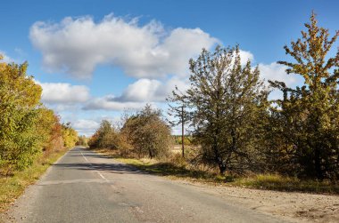 Ağaçların yanındaki asfalt yolda. Kırsal Avrupa 'da bir viraj yolu