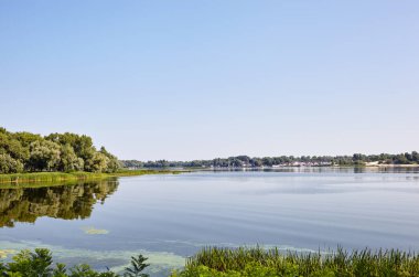 Avrupa 'nın başkenti Kyiv' de nehir kenarındaki sık ağaçların olduğu manzara. Arka planda park etmiş yatları olan iskele.