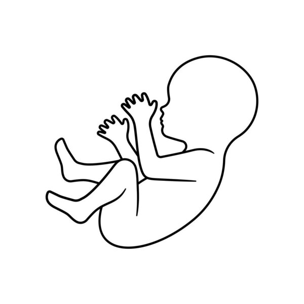 Baby fetus line art. Embryo human sign.