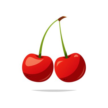 Cherry fruit vector isolated white background clipart