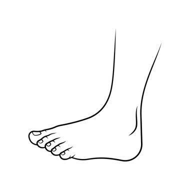 Beyaz arkaplanda izole edilmiş insan sanatı vektörünün yan görünümü.