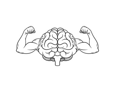 Beyin pazıların çizgilerini, zekanın beyin gücünü gösterir..