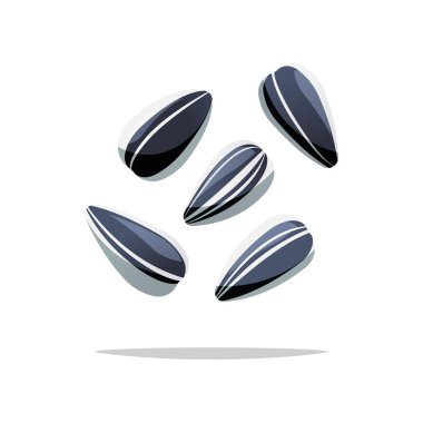 Ayçiçeği çekirdeği vektörü beyaz arkaplanda izole edildi.