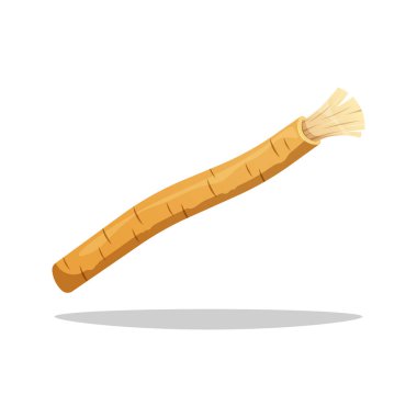 Miswak çubuk vektörü beyaz arkaplanda izole edildi.