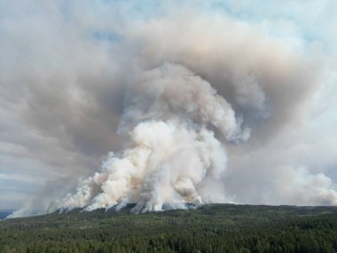 Vahşi bir ormanda yangın. Kanada mı? Üst hava manzarası. Büyük bir alev ormanı yuttu. Ekolojik felaket. Ormanda yangın
