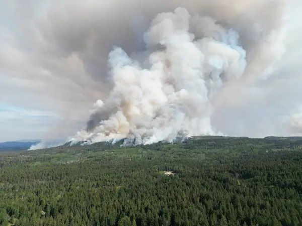Fire in a wild forest. Canada. Top aerial view. A huge flame engulfed the forest. Ecological catastrophy. Fire in the forest