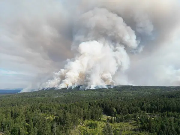 Vahşi bir ormanda yangın. Kanada mı? Üst hava manzarası. Büyük bir alev ormanı yuttu. Ekolojik felaket. Ormanda yangın