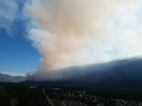 Fire in a wild forest. Canada. Top aerial view. A huge flame engulfed the forest. Ecological catastrophy. Fire in the forest