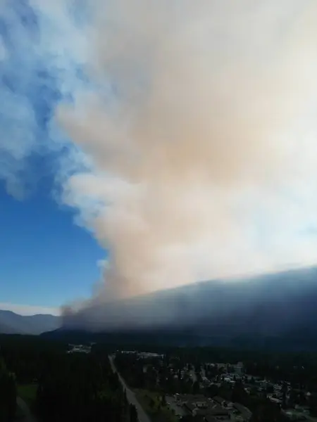 Vahşi bir ormanda yangın. Kanada mı? Üst hava manzarası. Büyük bir alev ormanı yuttu. Ekolojik felaket. Ormanda yangın
