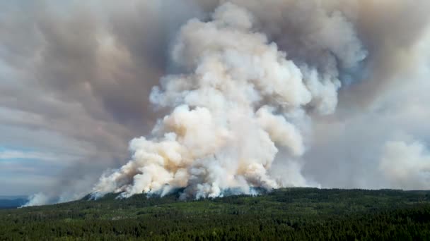 Ogień Dzikim Lesie Kanady Widok Góry Ogromny Płomień Pochłonął Las — Wideo stockowe