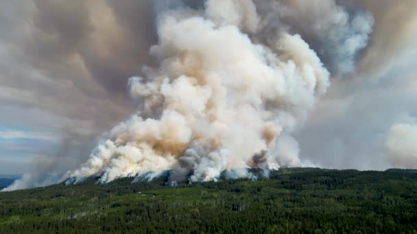 Fuego Bosque Salvaje Canadá Vista Aérea Superior Una Enorme Llama — Vídeo de stock