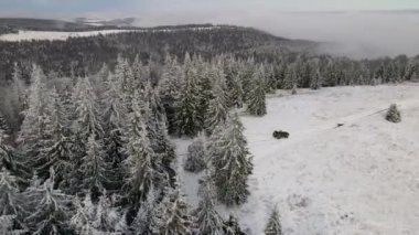 Arabayla kış dağlarına gidiyorum. Vahşi Karpat Ormanı. Dağlara bir keşif seferi. En iyi sinematik hava manzarası. Ukrayna vahşi doğası