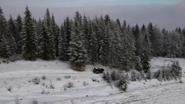 Ταξιδεύοντας Αυτοκίνητο Στα Βουνά Του Χειμώνα Άγριο Καρπάθιο Δάσος Εκστρατεία — Αρχείο Βίντεο
