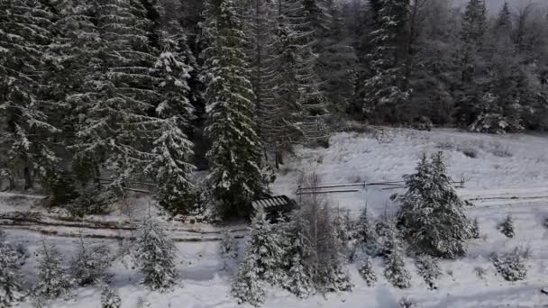 Cestování Autem Zimních Hor Divoký Karpatský Les Expedice Hor Nejlepší — Stock video