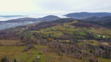 Sonbahar Karpat Ormanı sinematik hava manzarası. İnsansız hava aracı vahşi sonbahar ormanlarında uçuyor. 4K İHA görüntüleri. Yukarıdan Ukrayna köyü