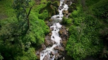 Kolombiya sinematik hava manzarası. Kolombiya 'nın vahşi yaşamı ve manzarası. Ünlü Columbia Şelalesi