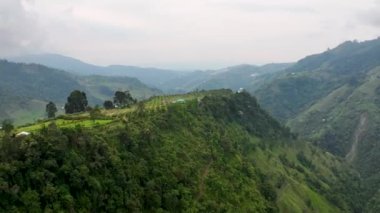 Kolombiya sinematik hava manzarası. Kolombiya 'nın vahşi yaşamı ve manzarası. Kolombiya ormanında bir dron uçuyor. Yukarıdan inanılmaz vahşi yaşam manzarası