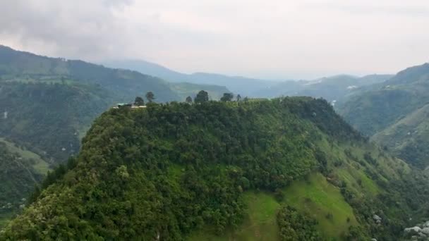 Kolumbien Filmische Luftaufnahme Der Spitzenklasse Tierwelt Und Landschaft Kolumbiens Eine — Stockvideo