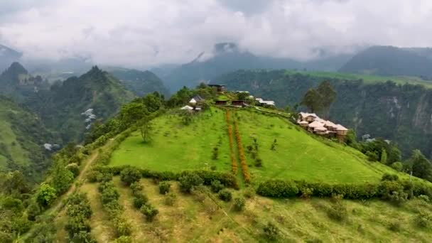 Κολομβία Κορυφαία Κινηματογραφική Εναέρια Άποψη Άγρια Ζωή Και Τοπίο Της — Αρχείο Βίντεο