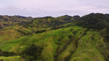 Kolombiya sinematik hava manzarası. Kolombiya 'nın vahşi yaşamı ve manzarası. Kolombiya ormanında bir dron uçuyor. Yukarıdan inanılmaz vahşi yaşam manzarası
