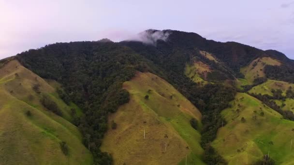 콜롬비아 동물과 콜롬비아의 드론이 콜롬비아 정글을 날아갑니다 위에서 놀라운 — 비디오