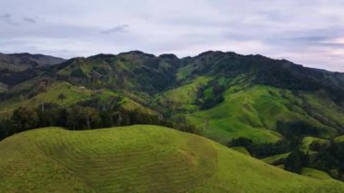 Kolombiya sinematik hava manzarası. Kolombiya 'nın vahşi yaşamı ve manzarası. Kolombiya ormanında bir dron uçuyor. Yukarıdan inanılmaz vahşi yaşam manzarası