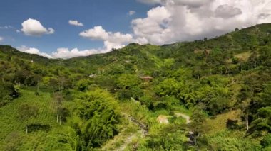 Kolombiya sinematik hava manzarası. Kolombiya 'nın vahşi yaşamı ve manzarası. Kolombiya ormanında bir dron uçuyor. Yukarıdan inanılmaz vahşi yaşam manzarası
