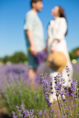 Yaz tarlasında güzel mor lavanta çiçekleri. Bulanık çift kucaklaşması, romantik aşk hikayesi. Sıcak ve ilham verici kavram.