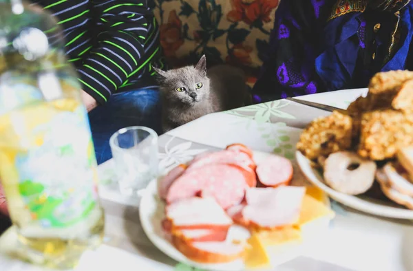Graue Katze Tisch Flauschiges Haustier Etwas Futter Stehlen Hungrige Tiere — Stockfoto