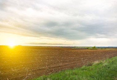 Çıplak zemini olan bahar tarlası. Doğanın çevre dostu fotoğrafı. Mısır gevreği ekiyorum. Geçen yıl mısır dalları. Tarım konsepti. Ülkedeki duvar kağıtları.
